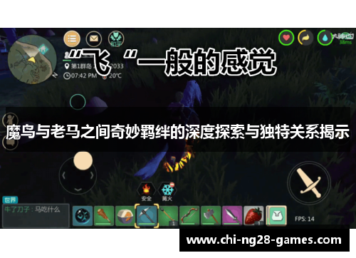 魔鸟与老马之间奇妙羁绊的深度探索与独特关系揭示 魔鸟与老马之间奇妙羁绊的深度探索与独特关系揭示