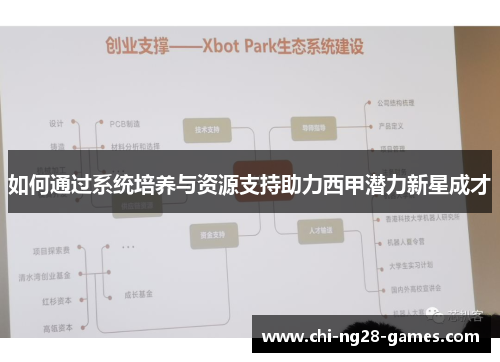 如何通过系统培养与资源支持助力西甲潜力新星成才